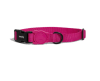 zeedog pink led collar2