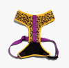 zeedog honey arnes mesh con velcro1