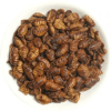 mp pupas gusano seda1