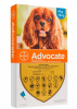 advocate perro 4-10kg1