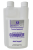 KINETIC CONQUER1