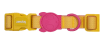 zeedog neopro lyra collar1