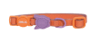 zeecat iris collar1