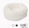 cat it cama fluffy1
