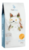 cooking gato kitten1
