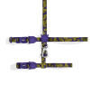 zeecat zmiley arnes+trailla1