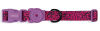zeedog brain collar1