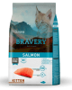 bravery salmon kitten1