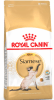 royal canin siames1