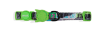 zeecat manifiesto collar1