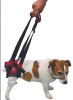 alzador posterior perro3