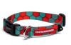 cachorre honey collar1