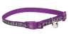 coastal collar lazer brite animal print1