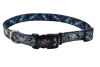coastal collar PER lazer galaxy1