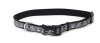 coastal collar PER lazer skulls1