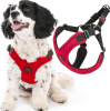 gooby arnes sport rojo1