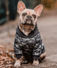 petlounge hoddie camuflaje1