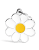 placa my family daisy1