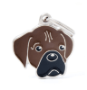 placa my family fawn boxer1