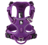 truelove arnes (ergo) no pull purple1