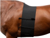 ayc faja caballo1