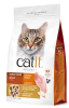 cat it recipes adulto1