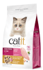 cat it recipes kitten1