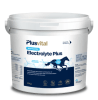 plus vital electrolyte plus1