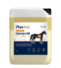 plus vital carron oil1