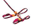 zeecat selva arnes+leash1