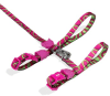 zeecat jelly arnes+leash1