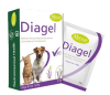 mervue pets diagel dog1