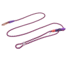 zeedog reebok court trailla hands free1