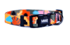 wauke collar toledo1