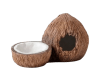 Exoterra guarida y plato de agua coconut1