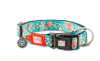 max&molly popcorn collar1