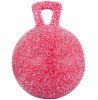 jolly pelota c/asa para caballos 25cm1