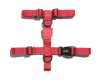 zeedog neon coral arnes H4
