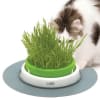 cat it senses 2.0 germinador de pasto2