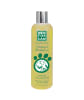 menforsan shampoo anticaspa1