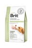 brit vet diet diabetes perro1