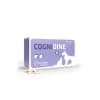 cognidine1