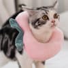 collar antilamido frutilla gato1