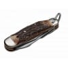 navaja boker arbolito1