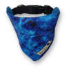 ns bandana con collar6
