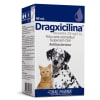 dragxicilina1