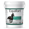 equifort1