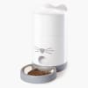 cat it pixi comedero smart1