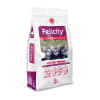 felicity arena kitten trainer1