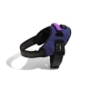 zeedog wicked fly arnes2